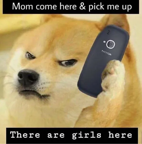 Doge Calls Mom for Pickup