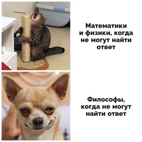 Когда не могут найти ответ