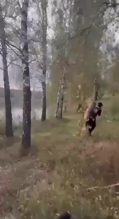Свою ношу не тянет