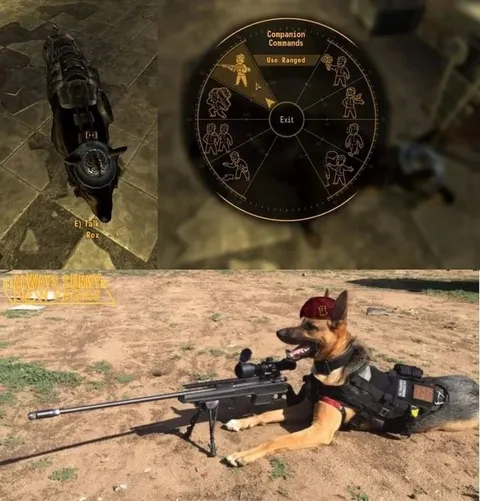 Rex Uses Ranged Commands