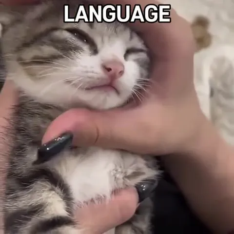 Cats Sing Down Under