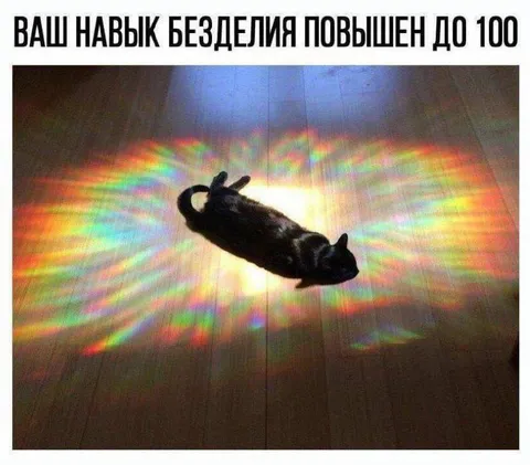 Навык безделья повышен до 100