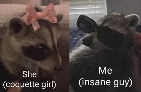 She Coquette Girl Me Insane Guy