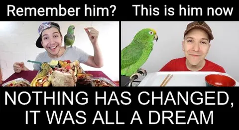 Nothing Has Changed, It Was All a Dream