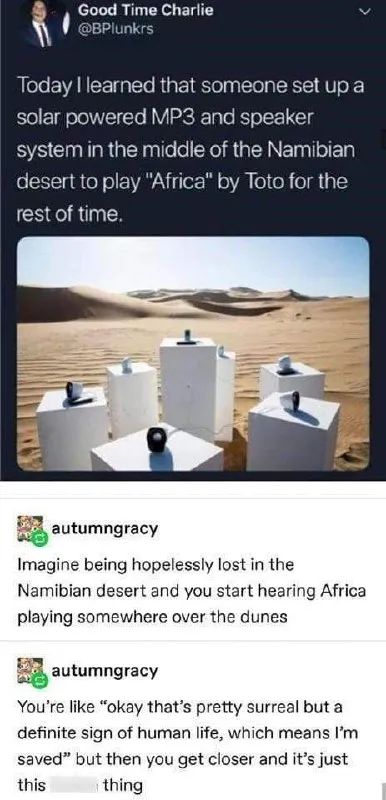 Africa in the Namibian Desert