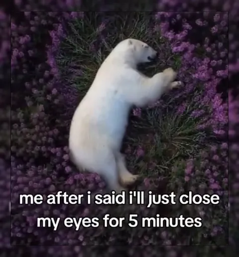 Just Five Minutes