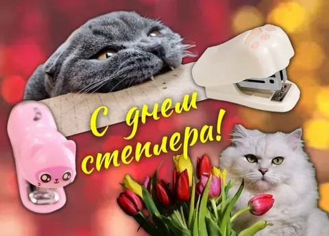 С днем степлера!