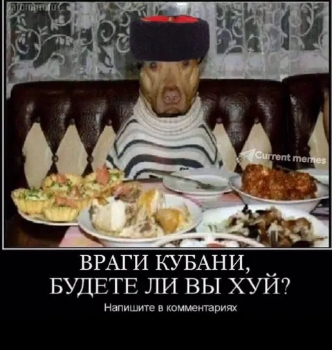 Свинья за праздничным столом