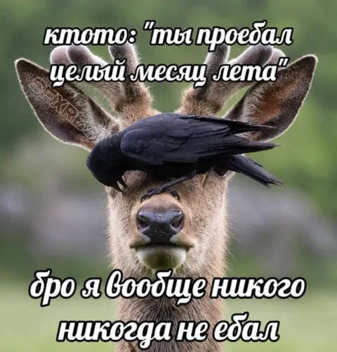 Олень, который ничего не ел