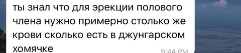 Кровь для эрекции как у хомячка