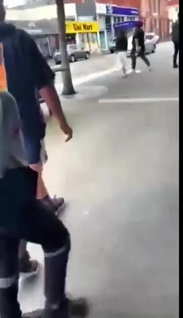 Gorilla Plays Accordion on the Street