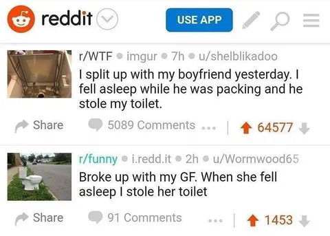 Stolen Toilet Breakup Story