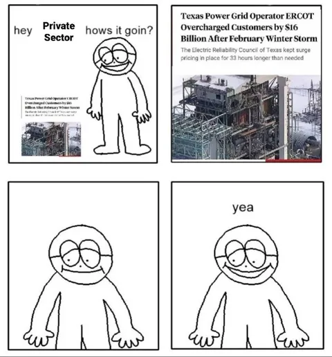 Private Sector Yea Meme
