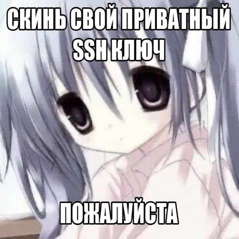 Скинь свой приватный SSH ключ