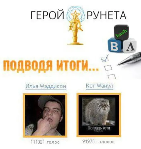 Герой Рунета: Илья против кота