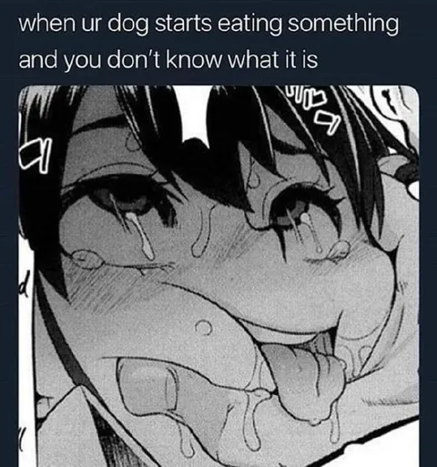 Dog Eating Something Unknown