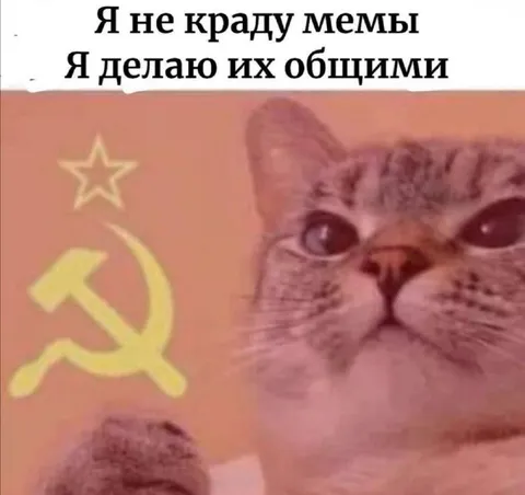Я не краду мемы