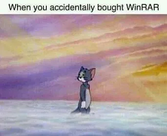 When You Accidentally Bought WinRAR