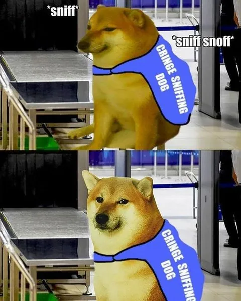 Cringe Sniffing Dog