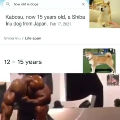 Кабосу доживает до предела
