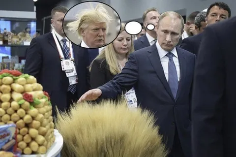 Путин выбирает Трампа на выставке