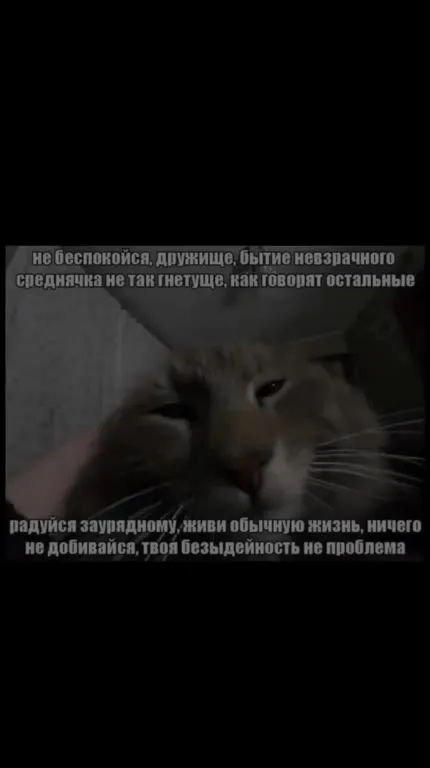 Радуйся своей заурядности