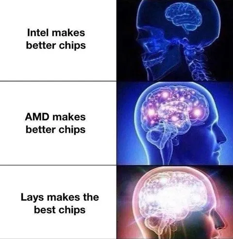 Lays Makes the Best Chips