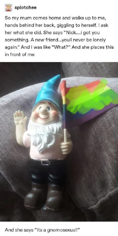Gnomosexual Surprise