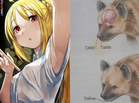 Anime Girl Meets Fox Brain