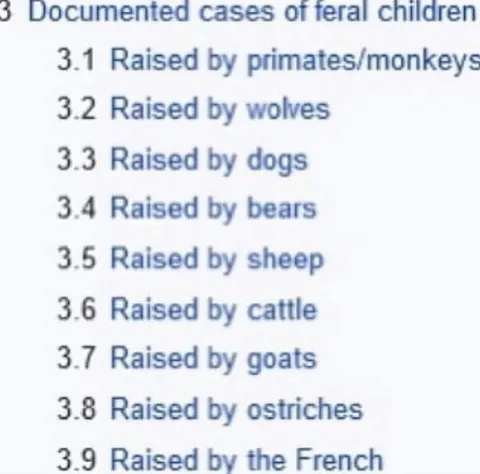 Documented Cases of Feral Children