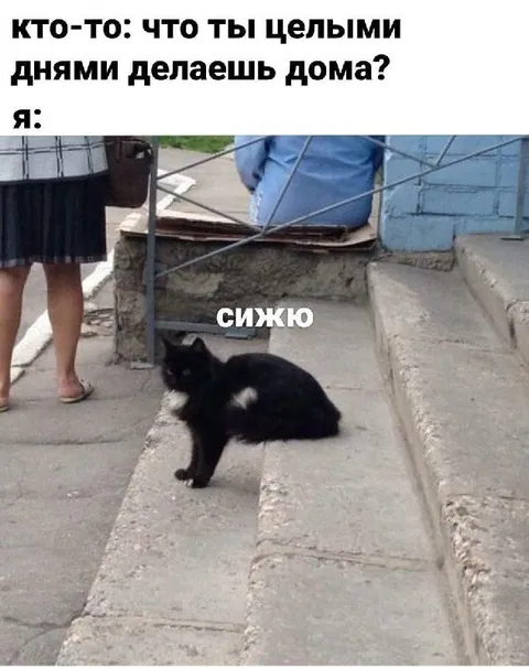Целыми днями просто сижу