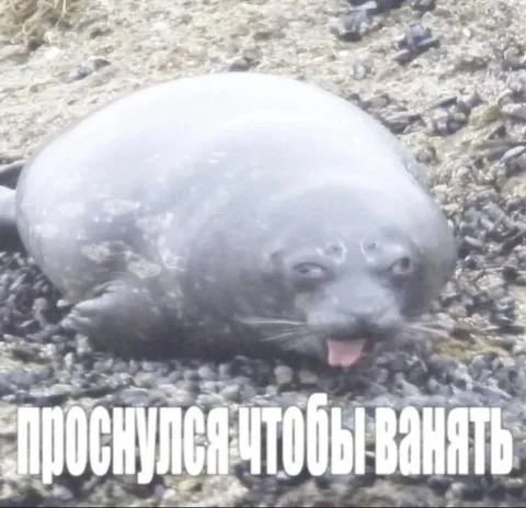 Проснулся чтобы вонять