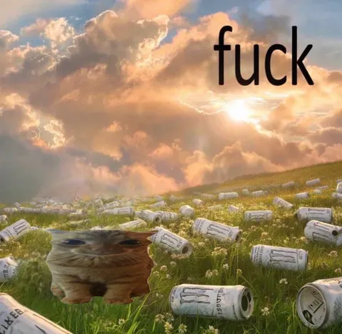 Fuck Heaven Cat