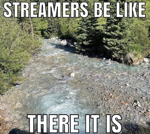 Streamers Be Like There It Is
