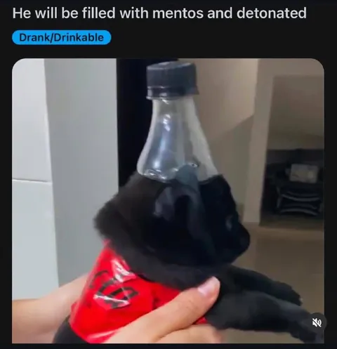 Mentos Dog Detonation
