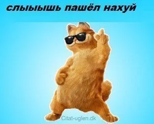Слыыбышь пашёл нахуй
