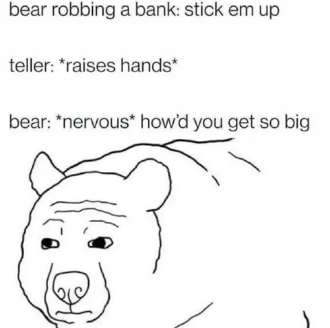 Bear Robbery Goes Wrong