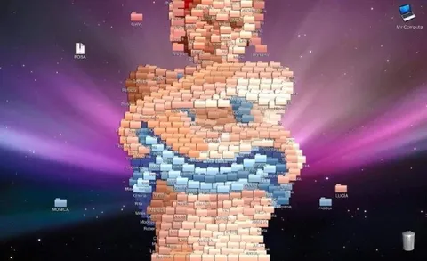 Desktop Icons Form a Woman