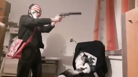 Кот исчезает с кресла