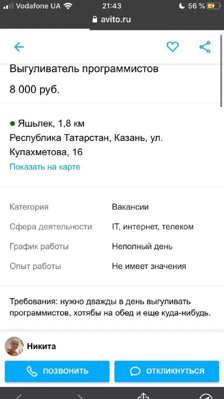 Выгул программистов за 8000 рублей
