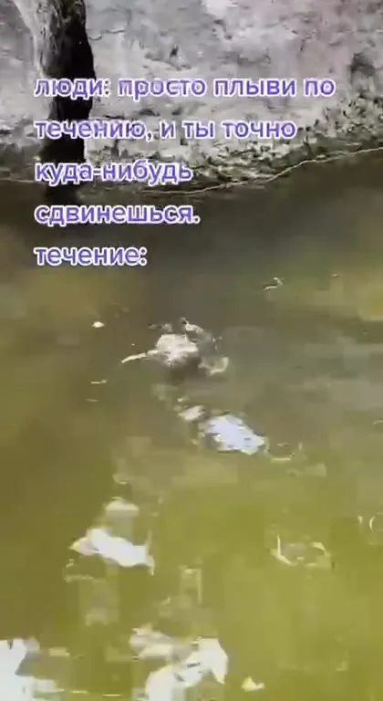 Течение уносит рыбку