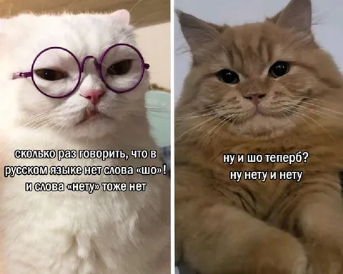 Когда нет слов «шо» и «нету»