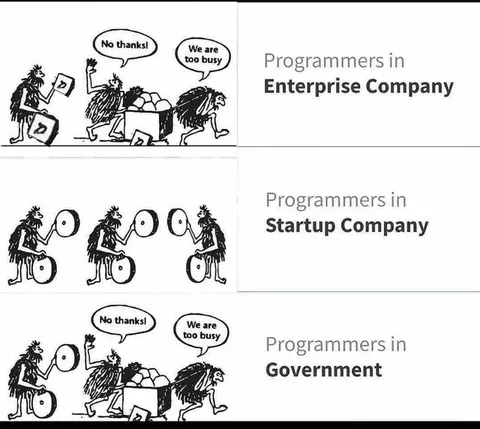 Programmers in Enterprise, Startup, Government