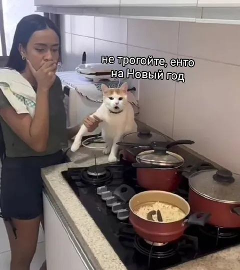 Не трогайте, это на Новый год
