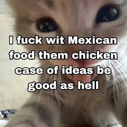 Cat Loves Mexican Food