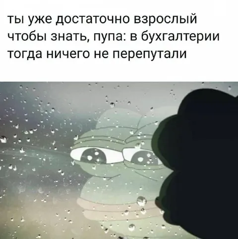 Пепе у окна с бухгалтерией