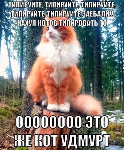 Кот Удмурт против типирования