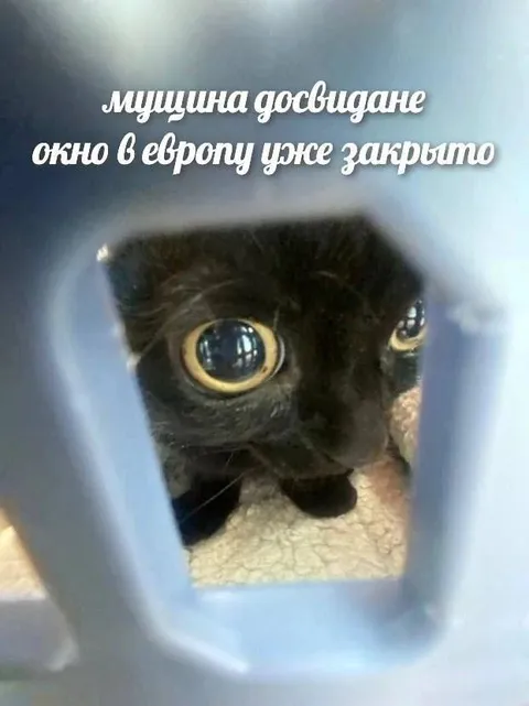 Окно в Европу закрыто
