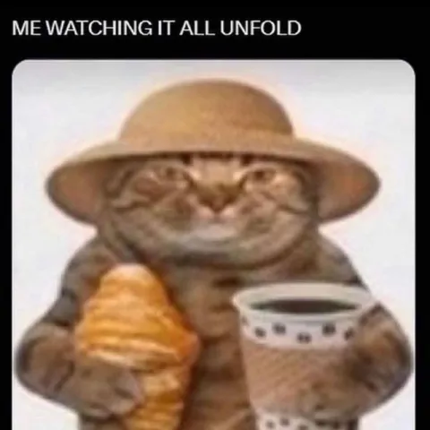 Cat Watching It All Unfold