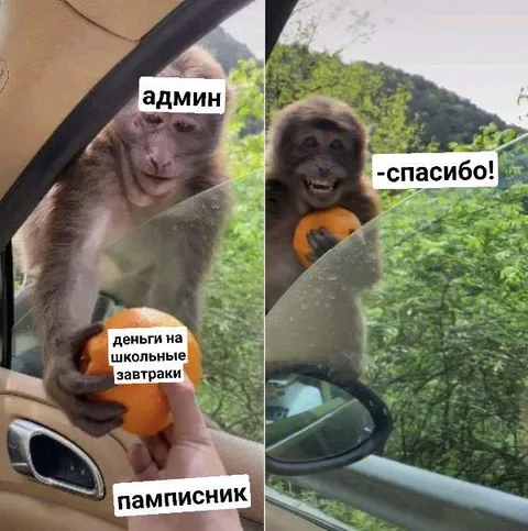 Админ и деньги на завтраки